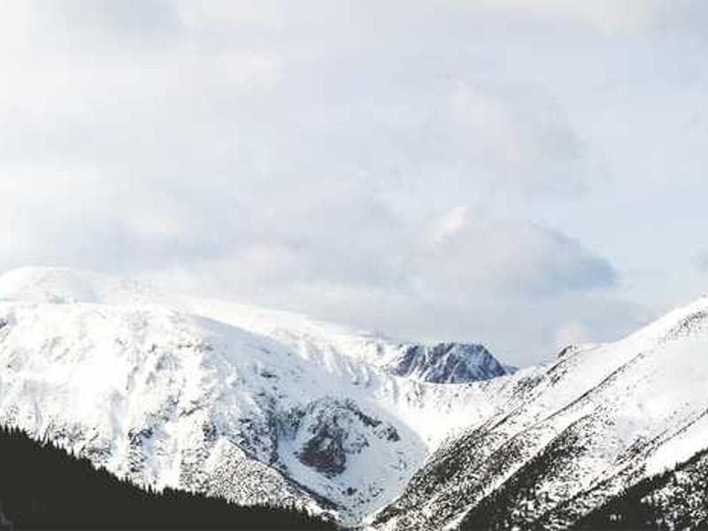 Global Scale: x402.org Platform